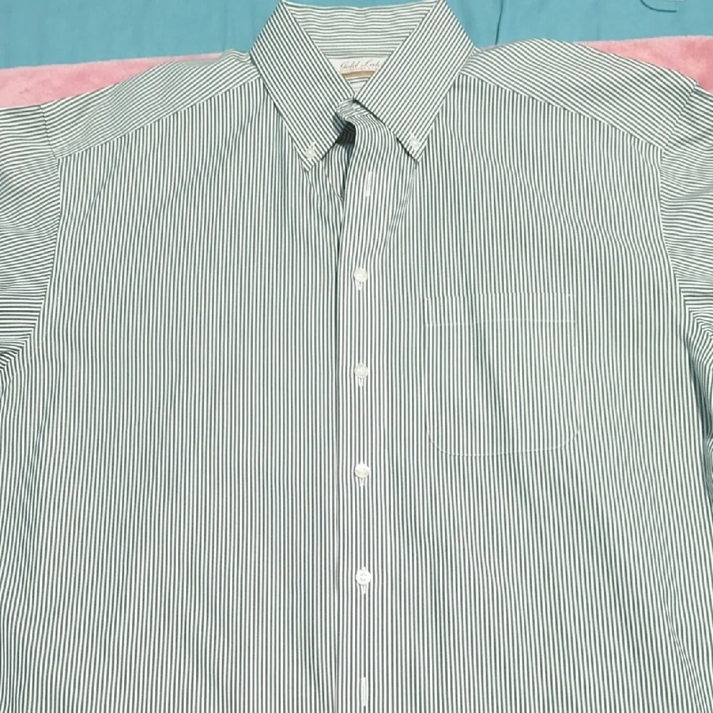 Roundtree & Yorke Men's Sage Striped Button Down Shirt